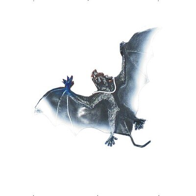  Vampire bats large