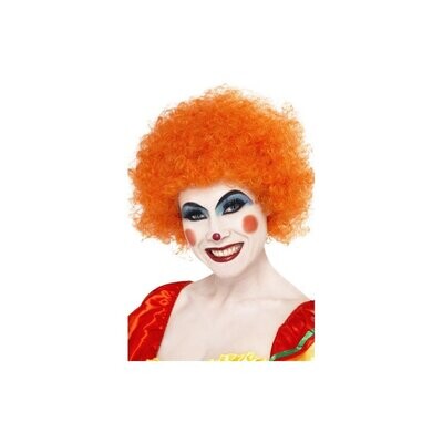 Crazy clown wig