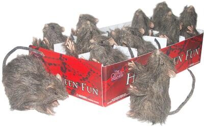 Mini Rat Assortment