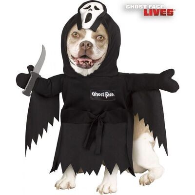Ghost face pet costume