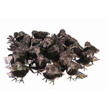 black crow small 