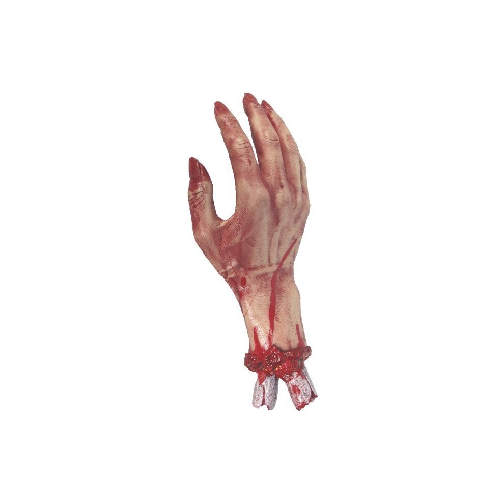 Severed Gory hand