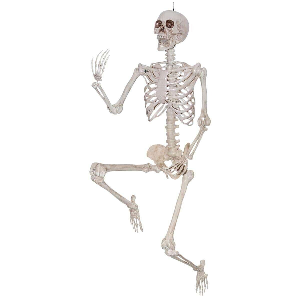 skeleton Head turn 5 feet