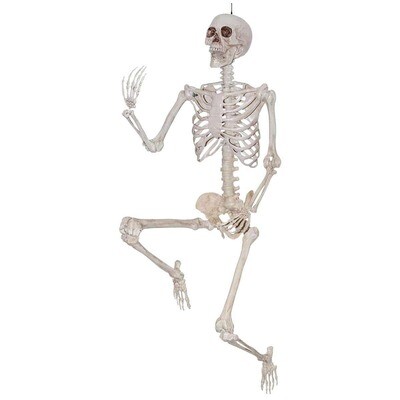  skeleton Head turn 5 feet