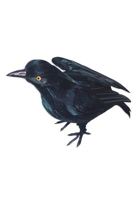 black crow