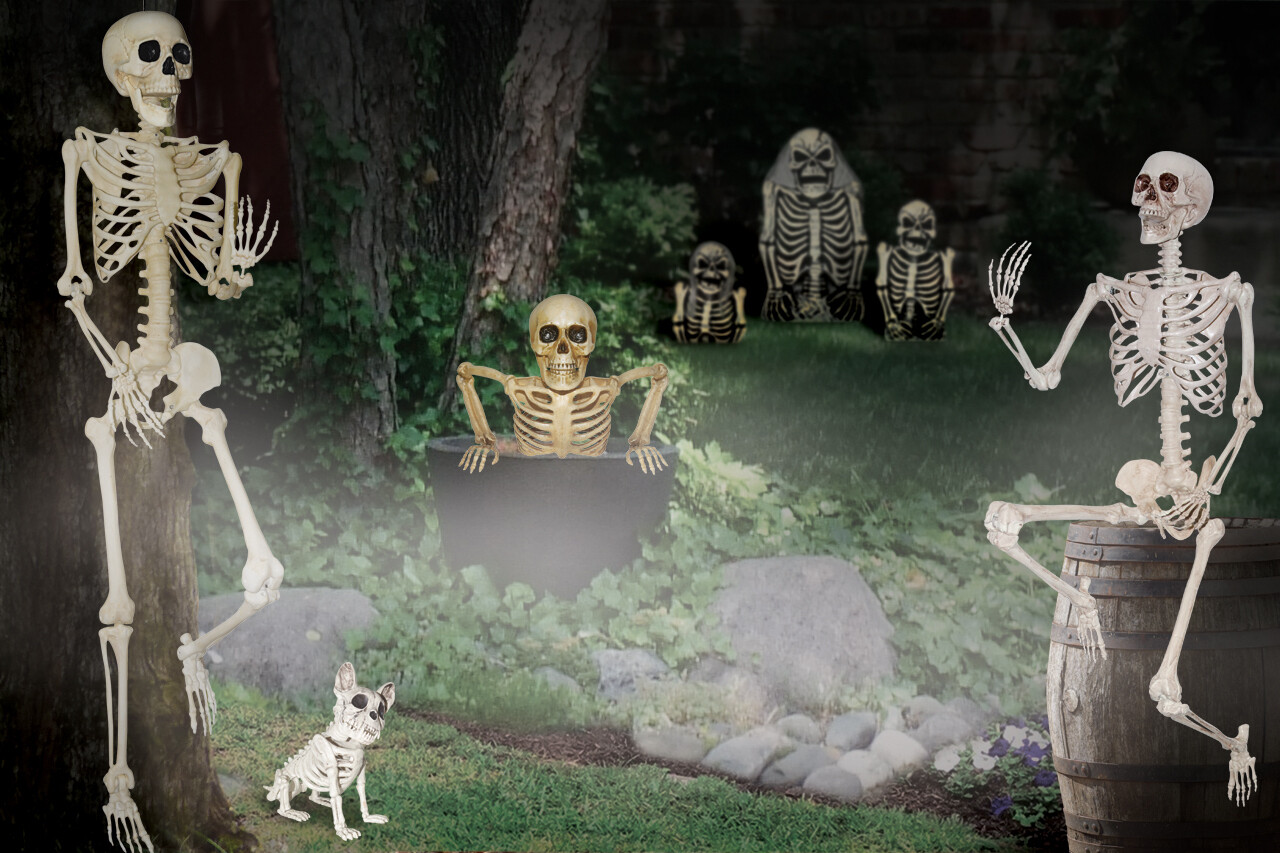  skeleton Head turn 5 feet