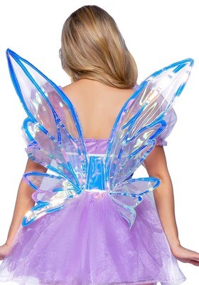 Iridescent waist cincher