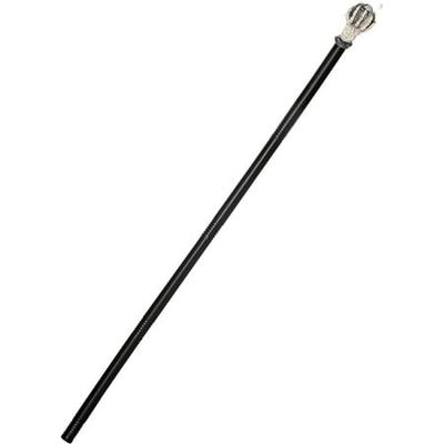 eyeball cane