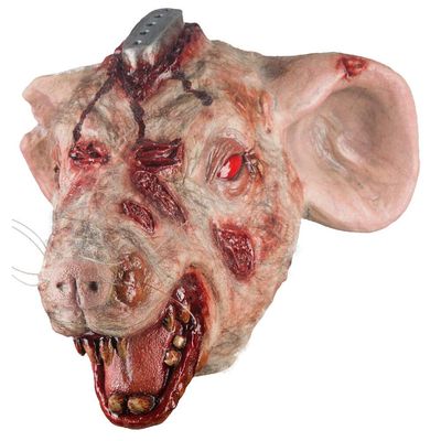 Lab Rat