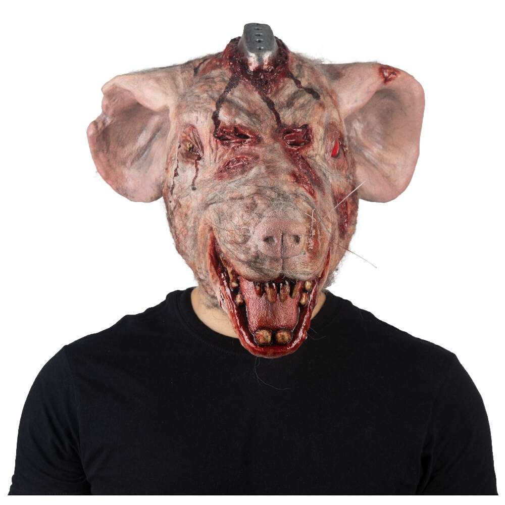 Lab Rat