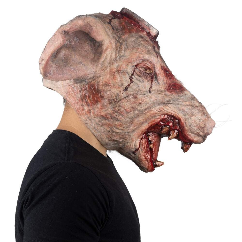 Lab Rat