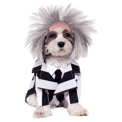Pet's Halloween Costumes