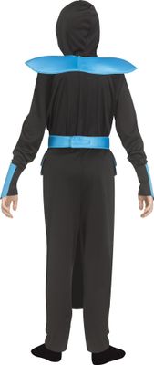 Blue Ninja Guard