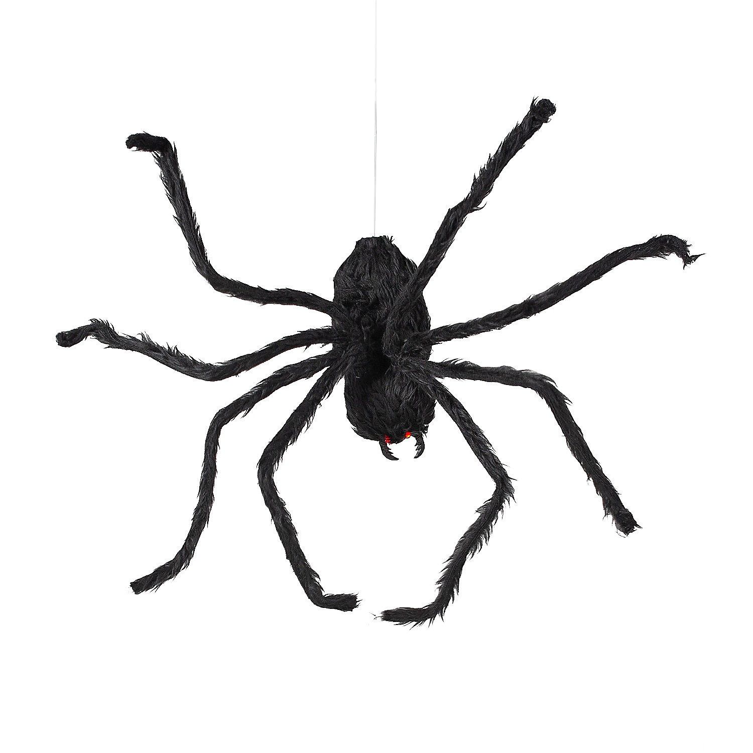 Animated Spider