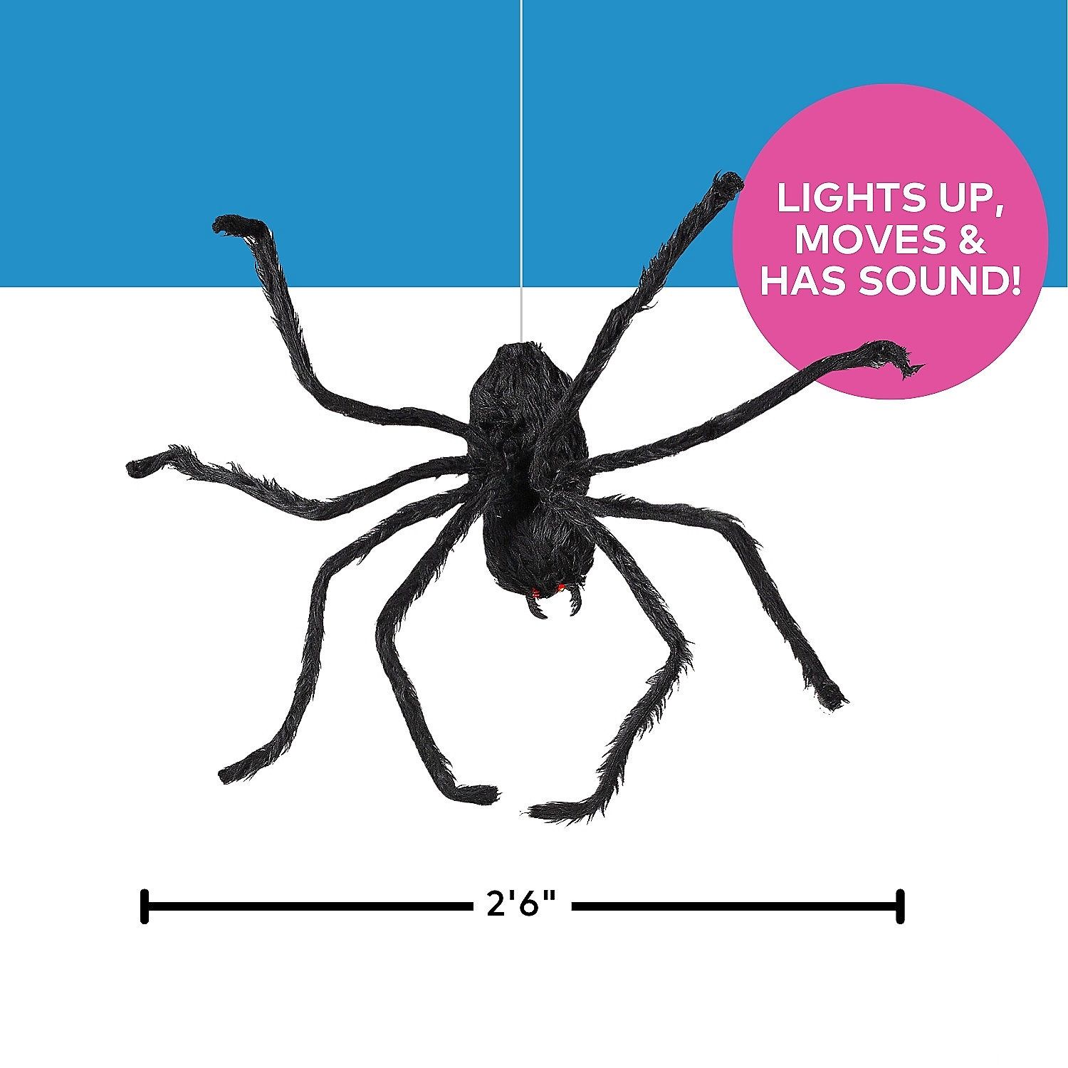 Animated Spider