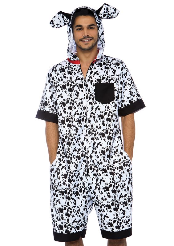 Dalmatian Dog