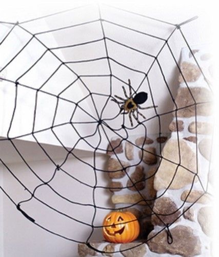 Black Widow Web 5 feet
