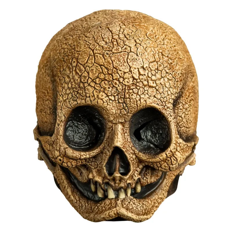 Cranial Skull TT196