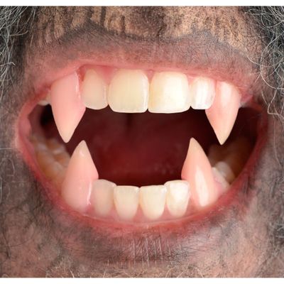 Werewolf Fangs