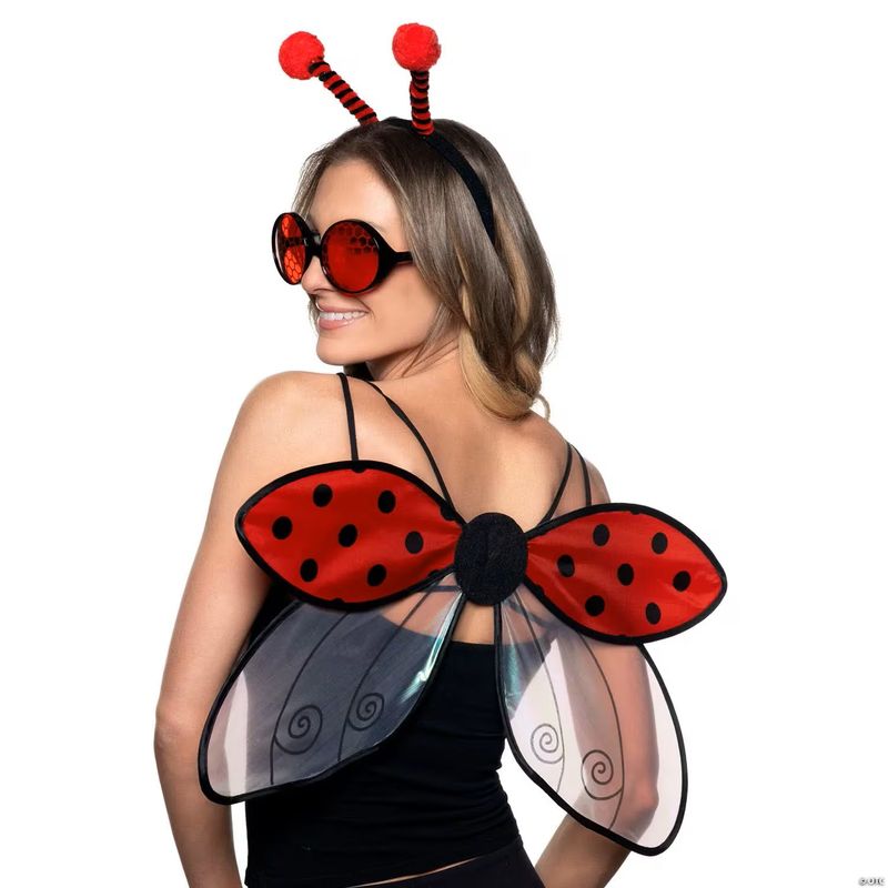 Ladybug accessory kit