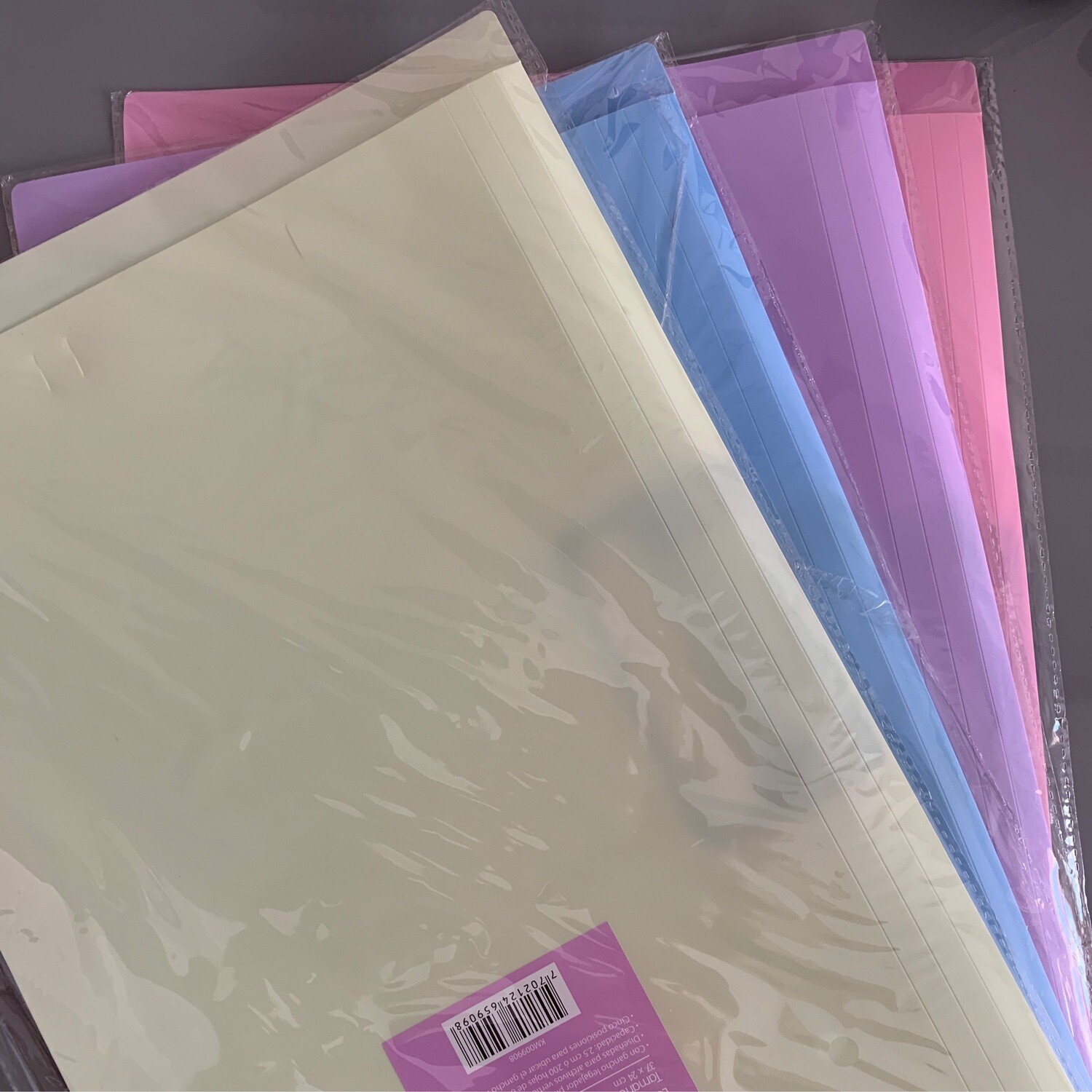 Carpeta Legajadora Oficio Pastel plastica  (Unidad) Keepermate