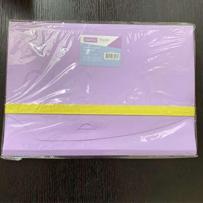Carpeta Seguridad  Oficio Pastel - Unidad KeeperMate