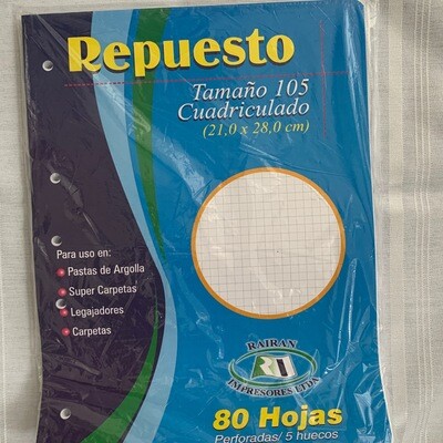 Repuesto 80 Hojas Cuadriculado  105