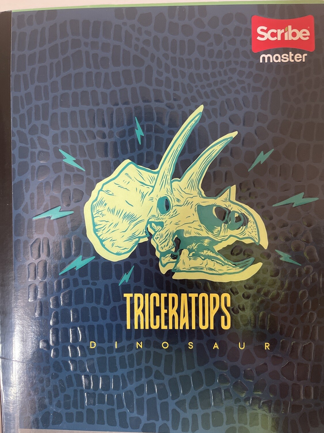 Cuaderno 100H  Cuadriculado Cosido Scribe Master Masculino
