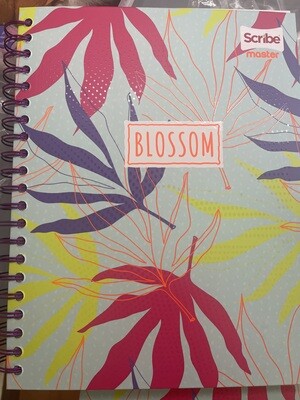 Cuaderno  Argollado Grande 105-  5 Materias 160H  Cuadriculado Scribe Master Femenino