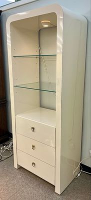 Contemporary Lighted Shelving Unit