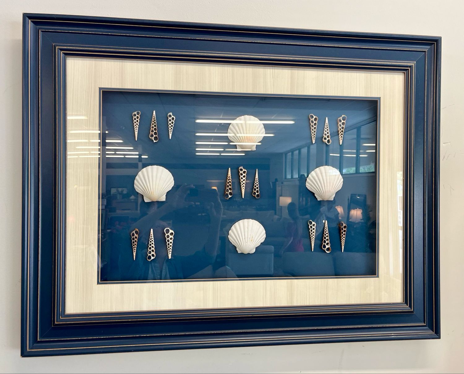 Framed Shadow-Boxed Shell Wall Art