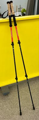 Montem Hiking Poles Set of 2