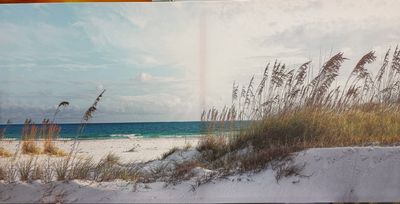 Coastal Print of Navarre Beach Florida
