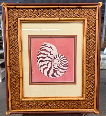Nautilus Shell Watercolor Print by Valerie Wall