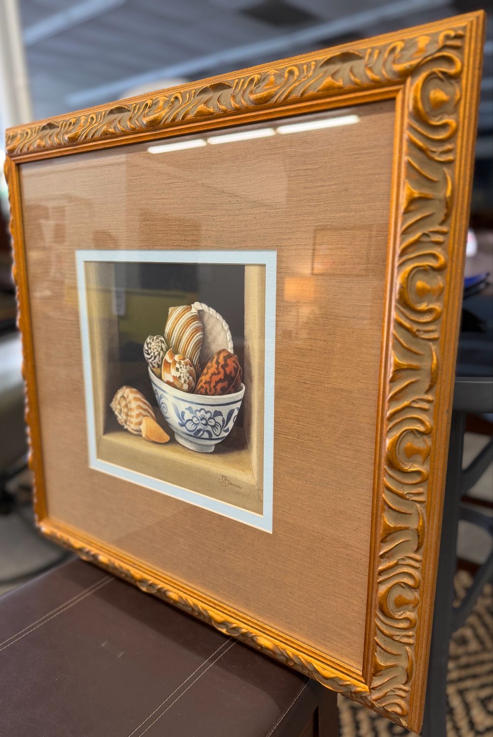Nautilus Still Life by Jenny Barron Nautilus Still Life by Jenny Barron