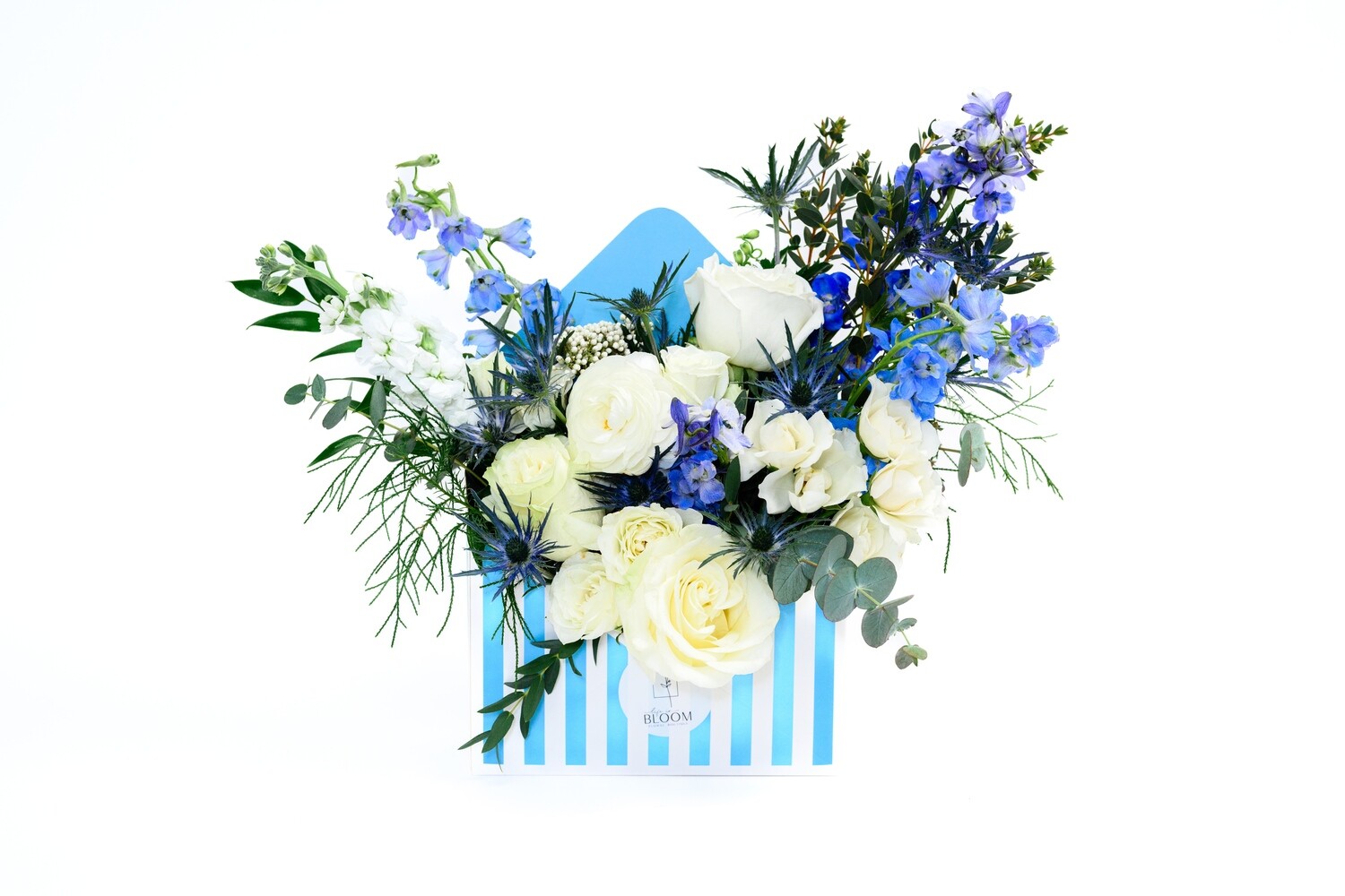 Beachy Hues Beachy Hues