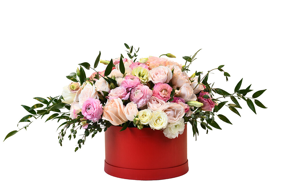 Bloom Box