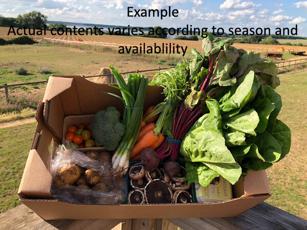 Small Veg Box Small Veg Box