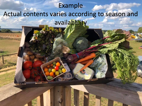 Large Veg Box Large Veg Box