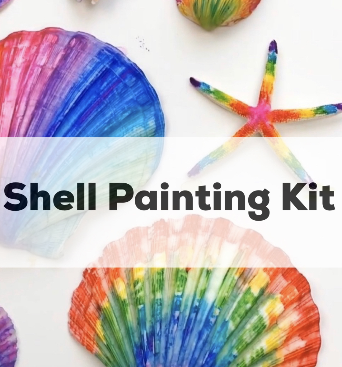  Kids Sea Shell Painting Kit - Arts & Crafts Gifts for