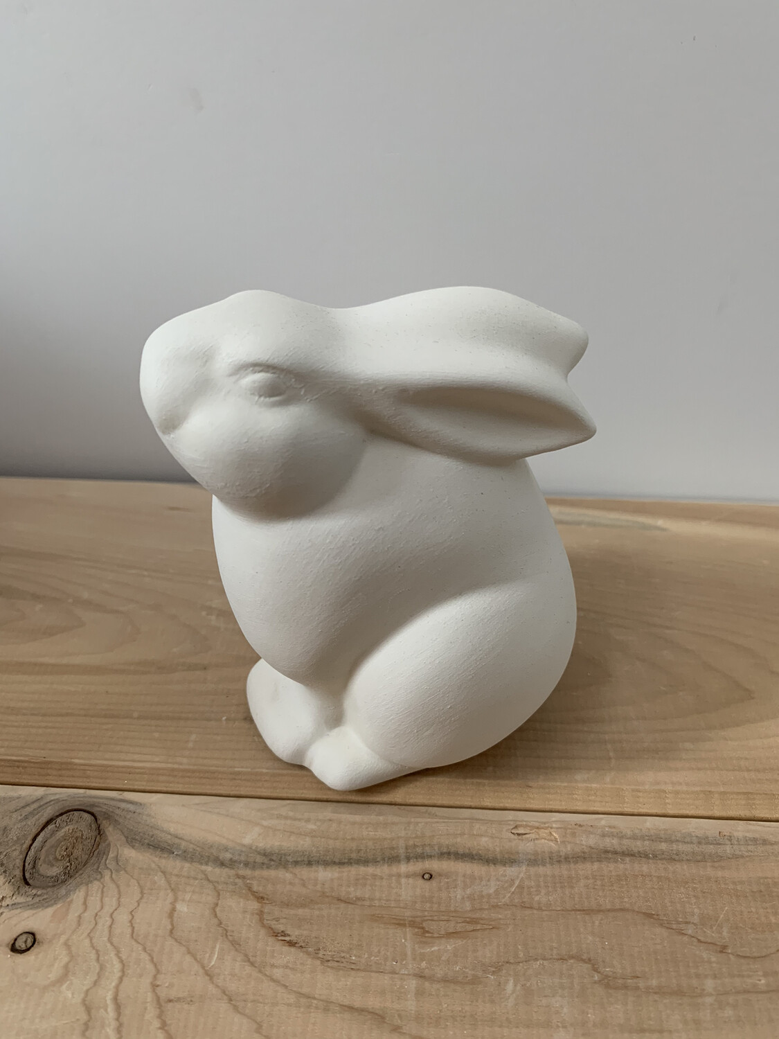 Paint Your Own Pottery - Ceramic
Bunny Rabbit Painting Kit