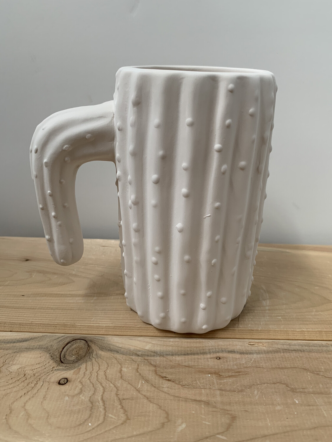 Paint Your Own Pottery - Ceramic 
 Cactus Mug Painting Kit
