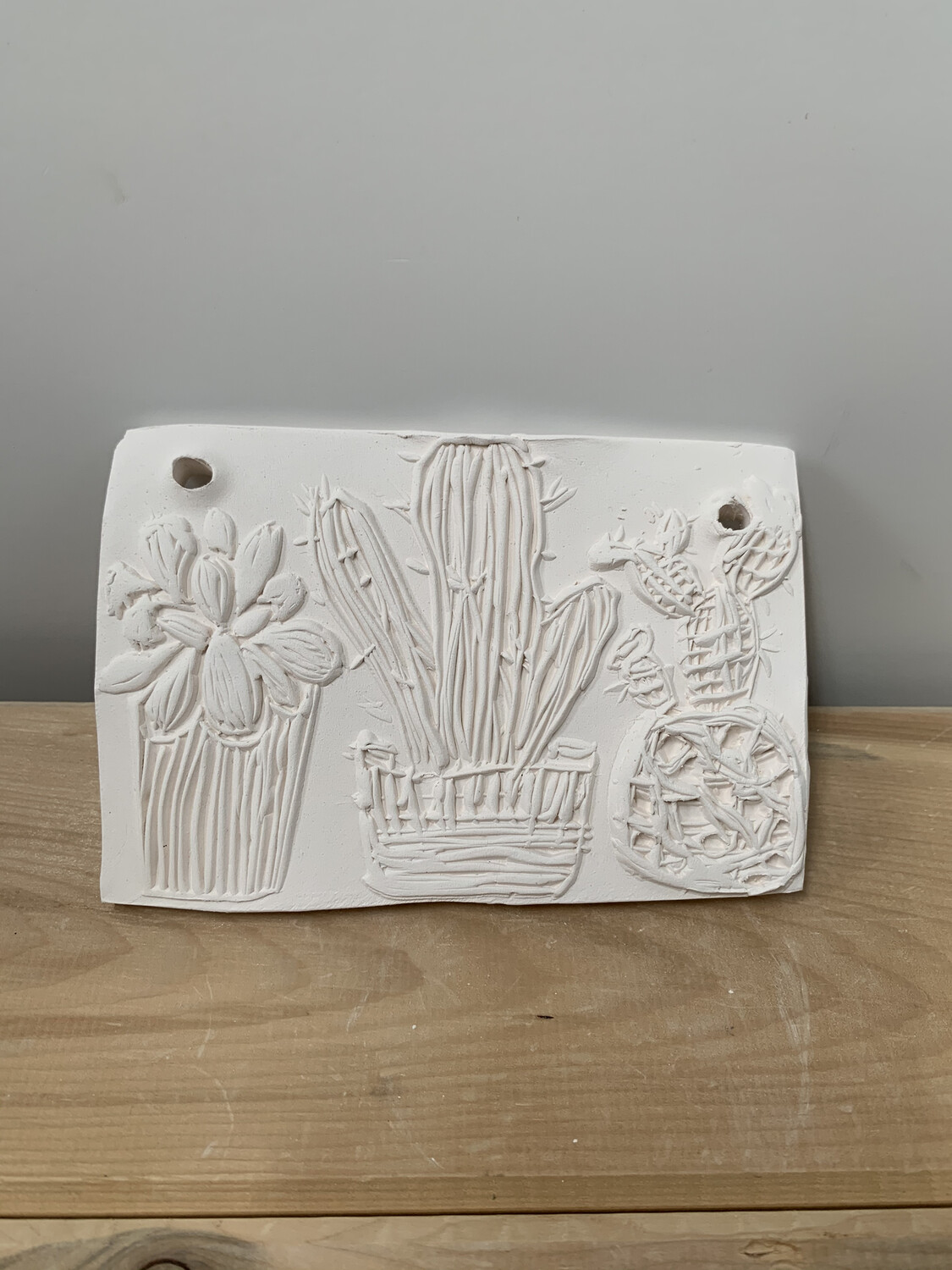 Paint Your Own Pottery - Ceramic
Cactus Succulent Tile Painting Kit