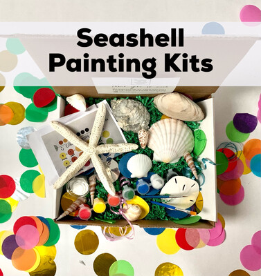 Seashell Acrylic Painting Kit - 4 Unpainted Shells