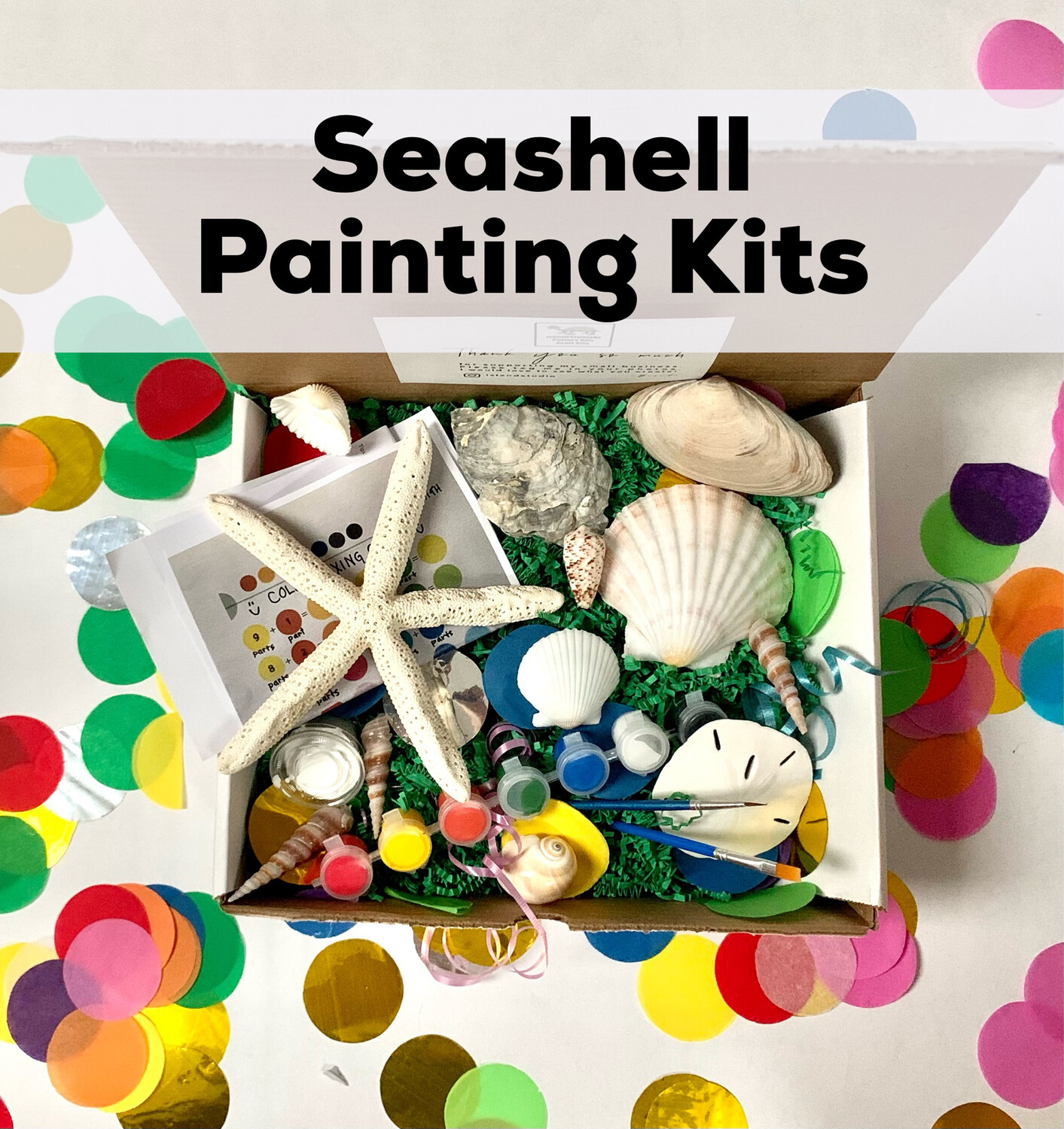 Seashell Painting Kit - 8 Unpainted Shells