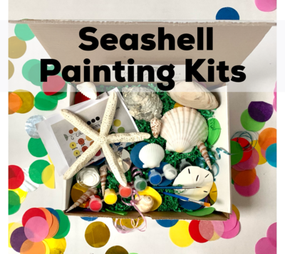Seashell Painting Kits
