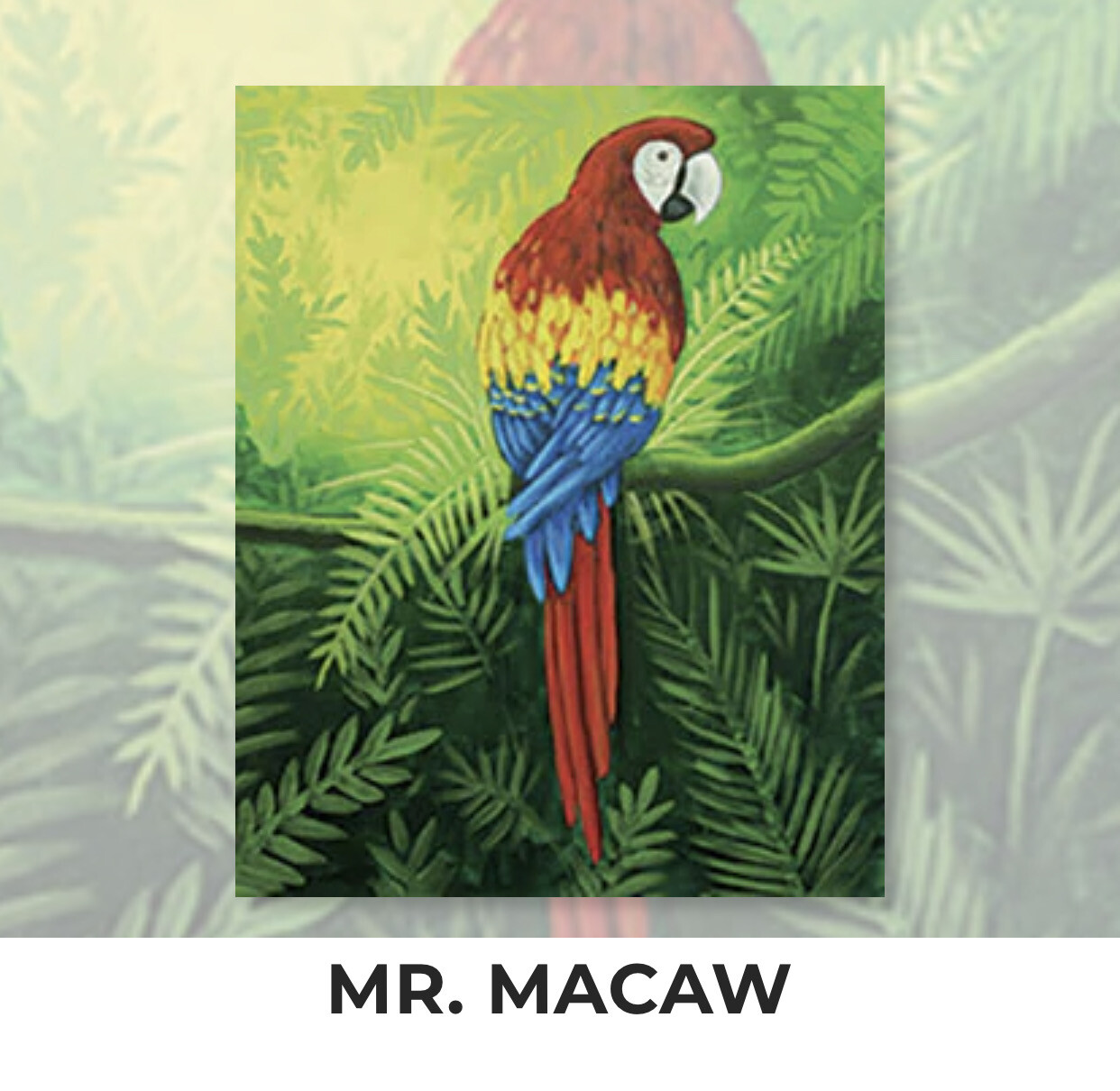 Mr. Macaw ADULT Acrylic Paint On Canvas DIY Art Kit - 3 Week Special Order