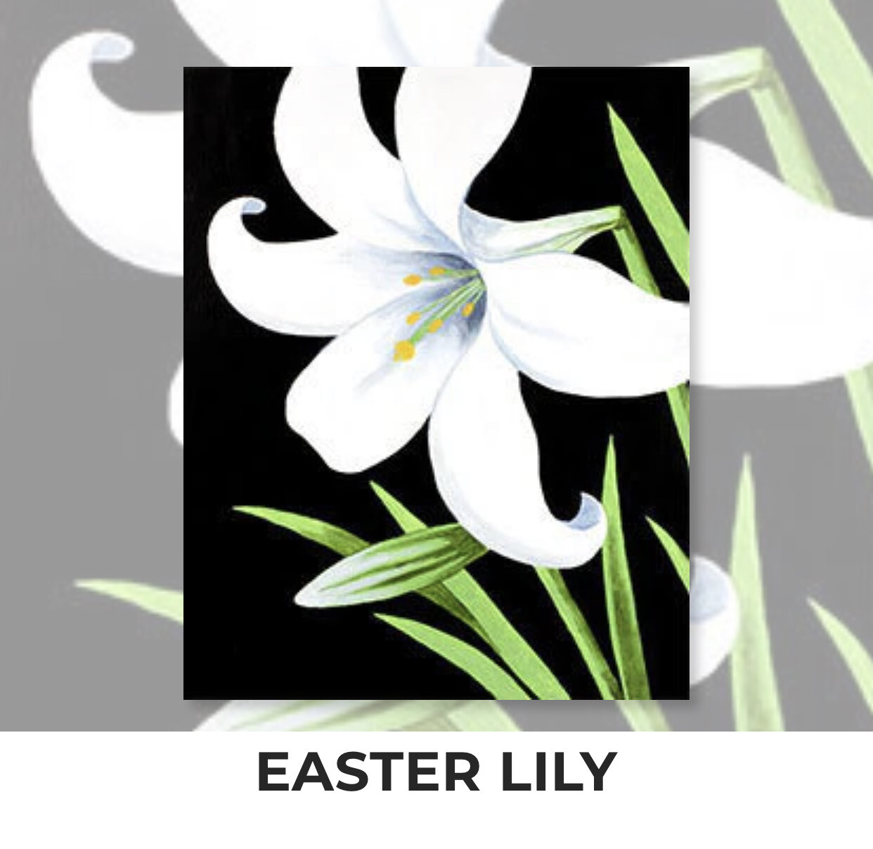 Easter Lily ADULT Acrylic Paint On Canvas DIY Art Kit - 3 Week Special Order