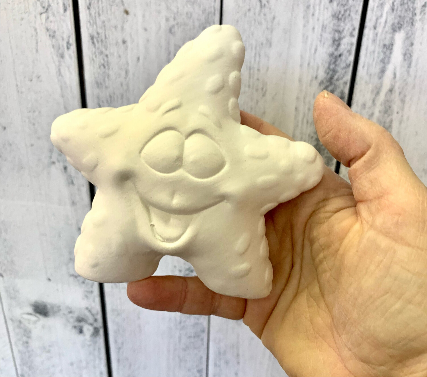 Paint Your Own Pottery - Ceramic 
 Starfish Steve Figurine Painting Kit