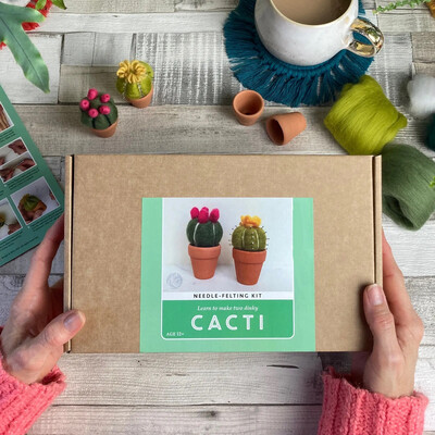 Cacti Needle Felting Craft Kit For Adults